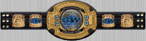 hcwcruserweight.jpg