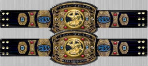 hcwtagteam.jpg